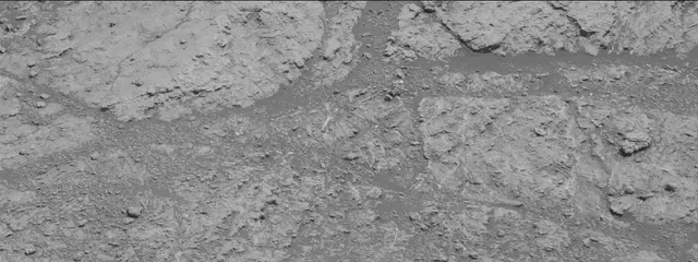 Sol 2609: Mast Camera (Mastcam)