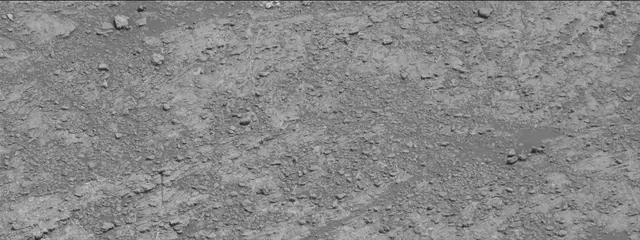 Sol 2609: Mast Camera (Mastcam)