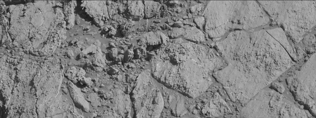 Sol 2613: Mast Camera (Mastcam)
