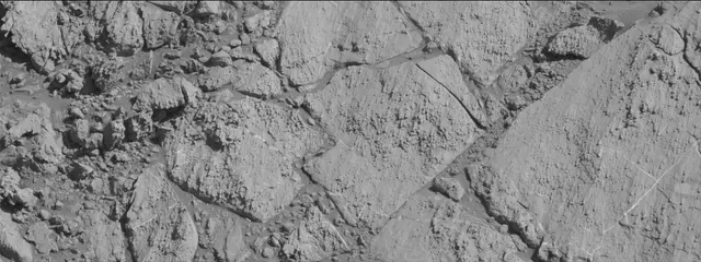 Sol 2613: Mast Camera (Mastcam)