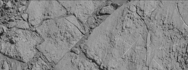 Sol 2613: Mast Camera (Mastcam)