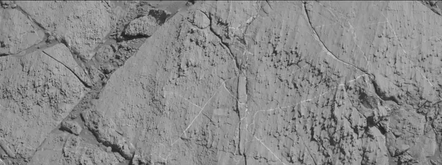 Sol 2613: Mast Camera (Mastcam)