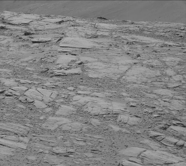 Sol 2613: Mast Camera (Mastcam)