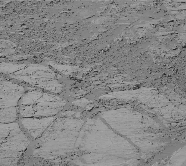 Sol 2613: Mast Camera (Mastcam)