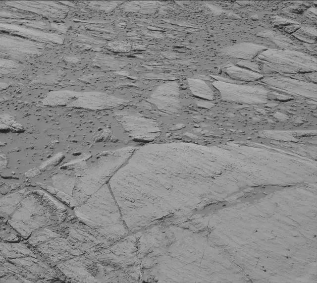 Sol 2613: Mast Camera (Mastcam)