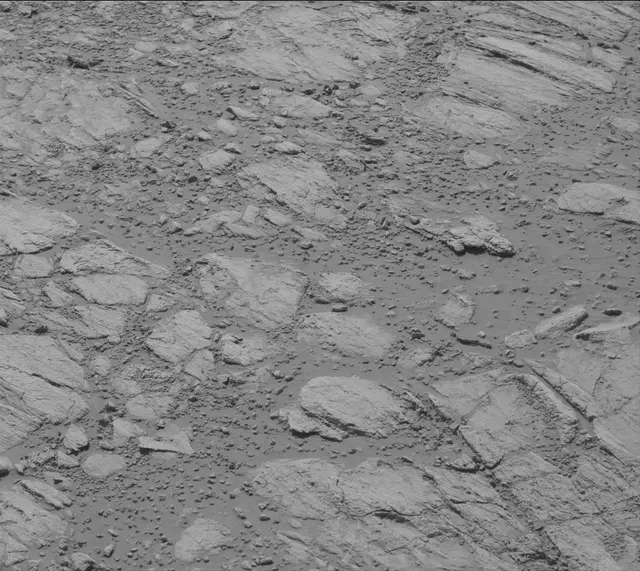 Sol 2613: Mast Camera (Mastcam)
