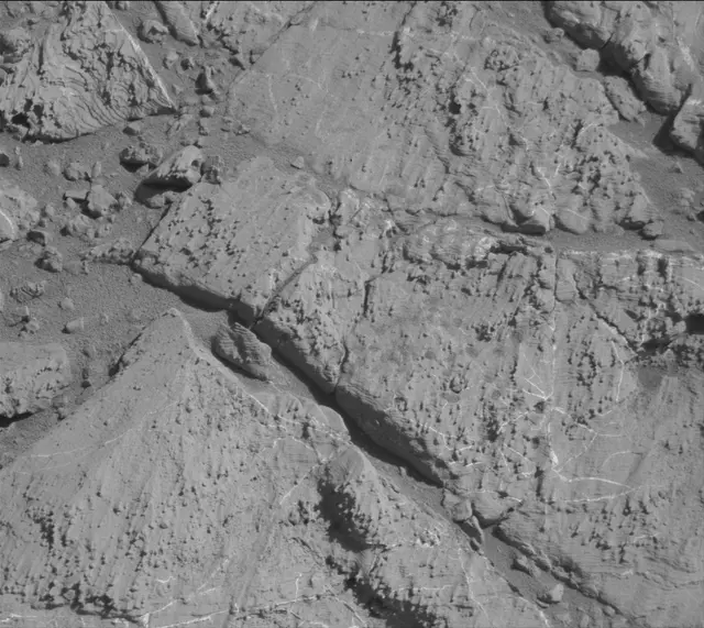 Sol 2613: Mast Camera (Mastcam)