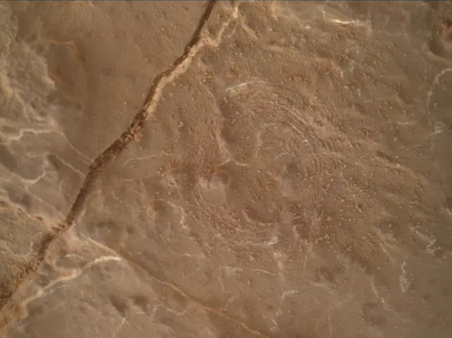 Sol 2631: Mars Hand Lens Imager (MAHLI)