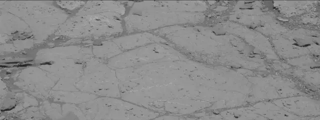 Sol 2632: Mast Camera (Mastcam)