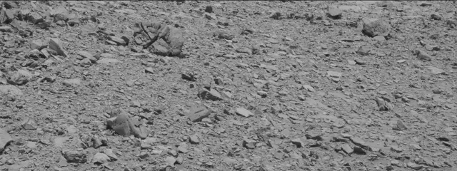 Sol 2635: Mast Camera (Mastcam)