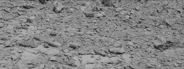 Sol 2635: Mast Camera (Mastcam)