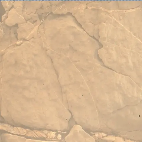 Sol 2653: Mars Hand Lens Imager (MAHLI)