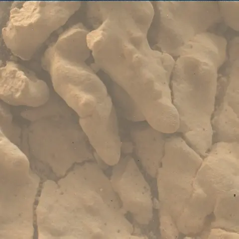 Sol 2653: Mars Hand Lens Imager (MAHLI)