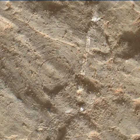 Sol 2656: Mars Hand Lens Imager (MAHLI)