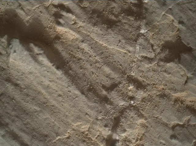 Sol 2656: Mars Hand Lens Imager (MAHLI)