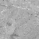 Sol 2657: Mast Camera (Mastcam)
