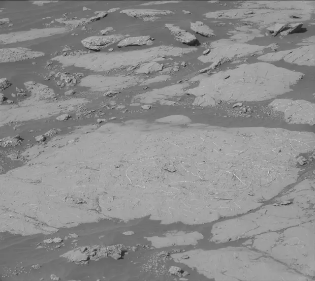 Sol 2658: Mast Camera (Mastcam)