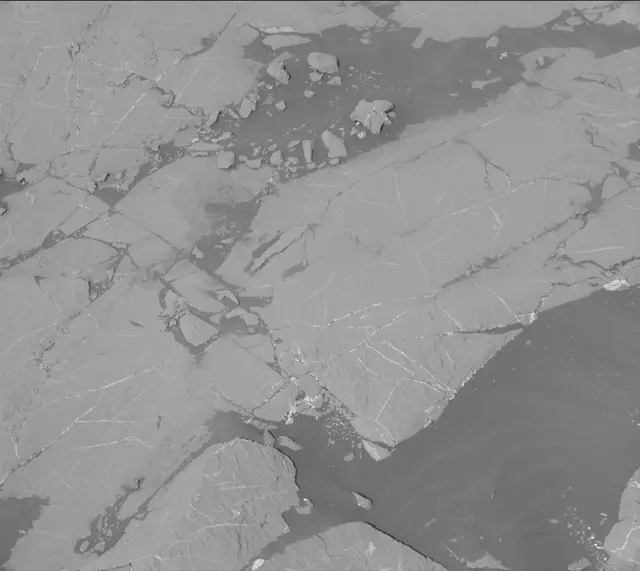 Sol 2658: Mast Camera (Mastcam)