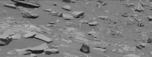 Sol 2658: Mast Camera (Mastcam)