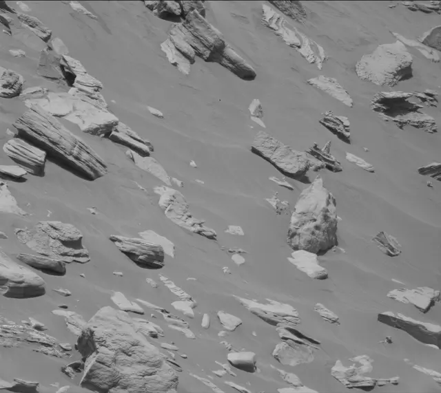 Sol 2658: Mast Camera (Mastcam)
