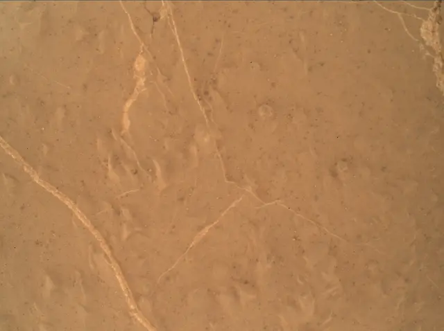 Sol 2658: Mars Hand Lens Imager (MAHLI)