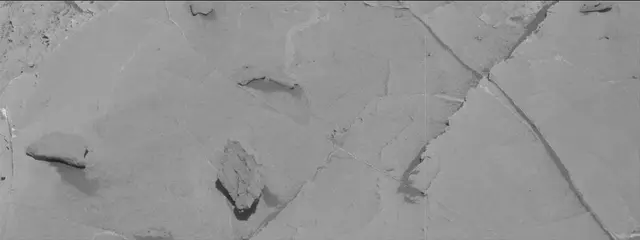 Sol 2659: Mast Camera (Mastcam)