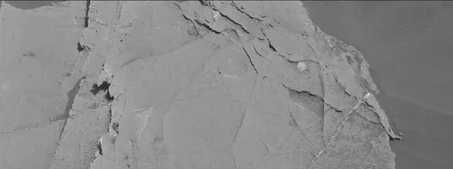Sol 2659: Mast Camera (Mastcam)