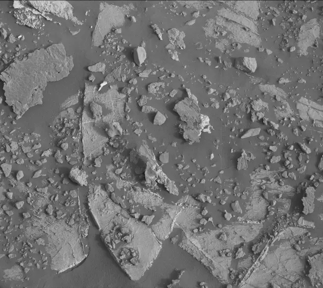 Sol 2659: Mast Camera (Mastcam)
