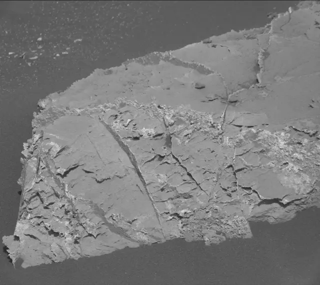 Sol 2659: Mast Camera (Mastcam)