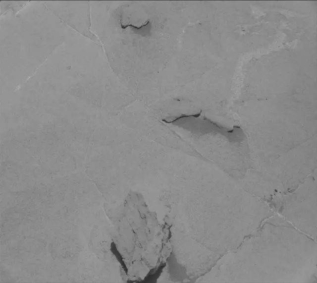 Sol 2659: Mast Camera (Mastcam)