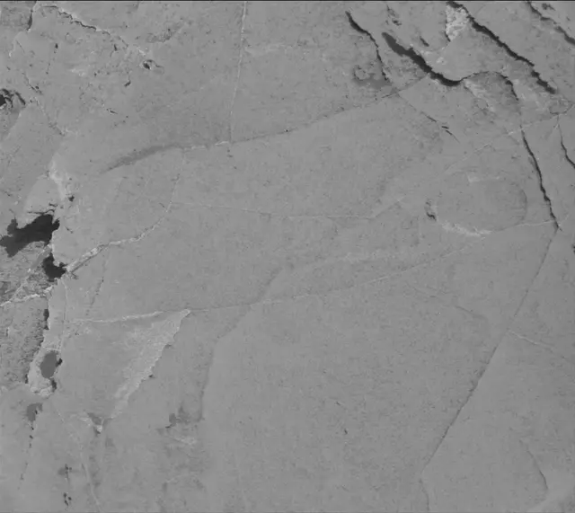 Sol 2659: Mast Camera (Mastcam)