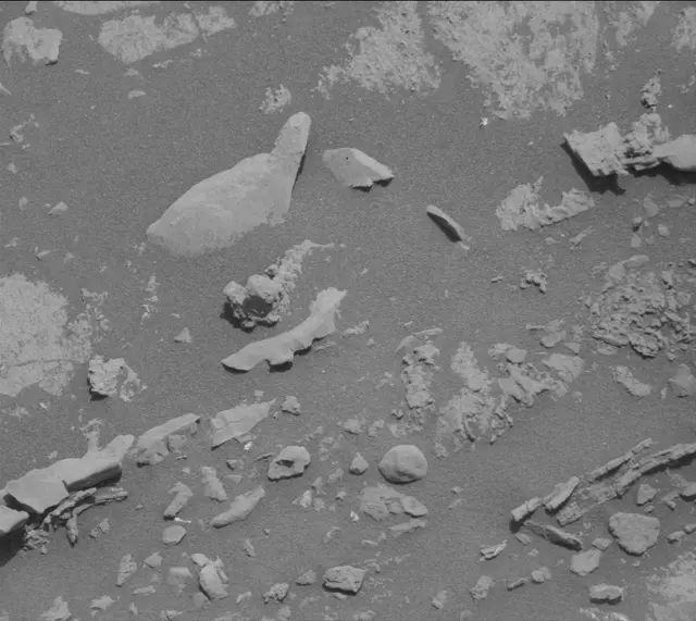 Sol 2666: Mast Camera (Mastcam)
