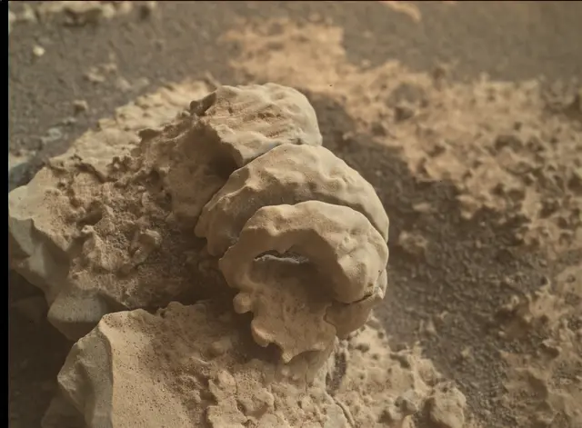 Sol 2666: Mars Hand Lens Imager (MAHLI)