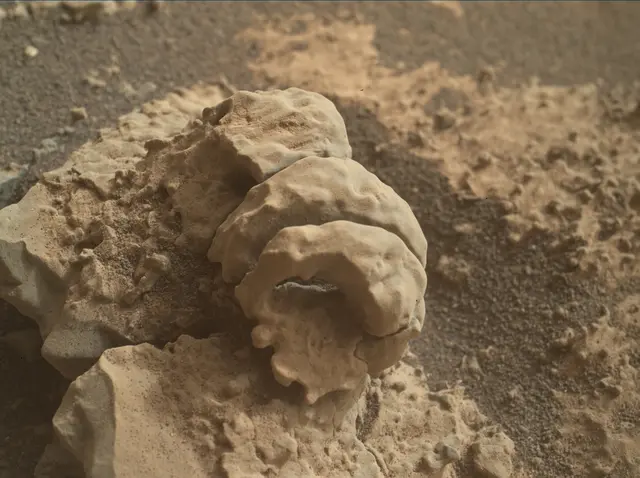 Sol 2666: Mars Hand Lens Imager (MAHLI)