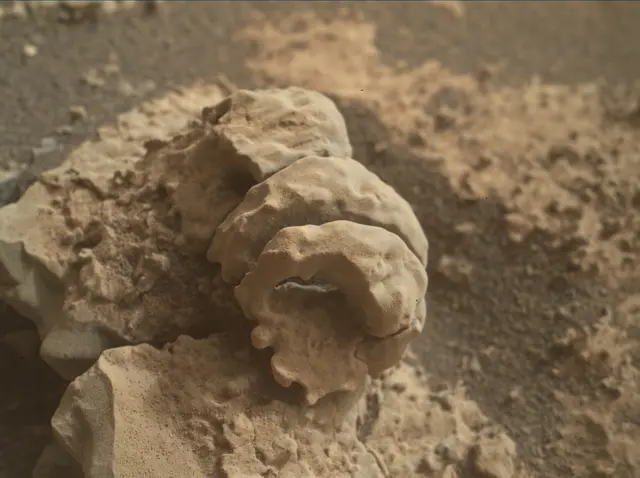 Sol 2666: Mars Hand Lens Imager (MAHLI)