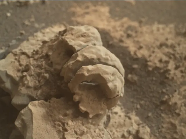 Sol 2666: Mars Hand Lens Imager (MAHLI)