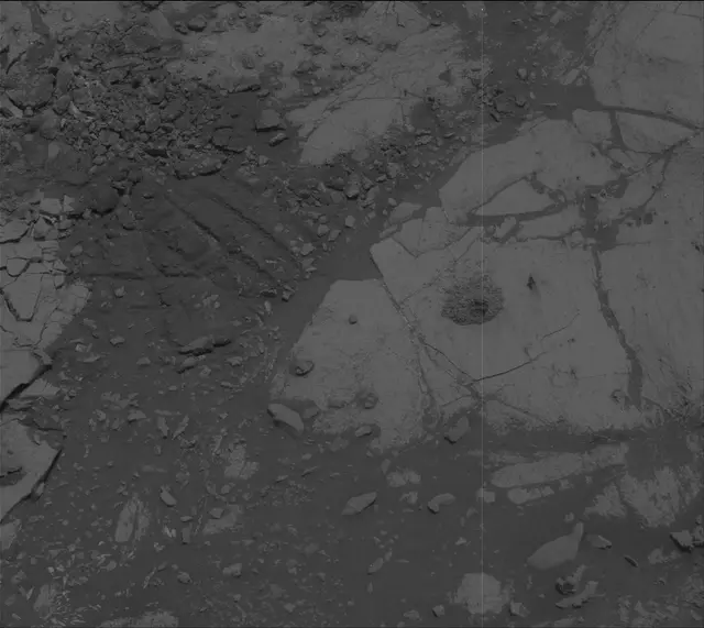 Sol 2670: Mast Camera (Mastcam)
