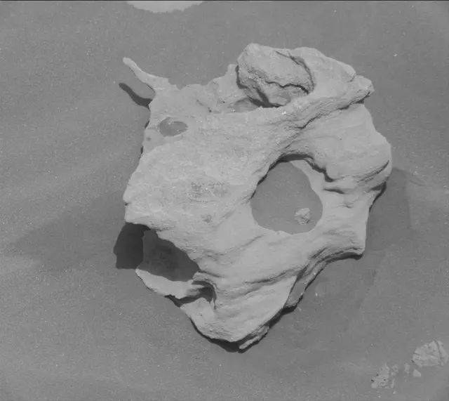 Sol 2674: Mast Camera (Mastcam)
