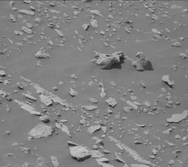 Sol 2686: Mast Camera (Mastcam)
