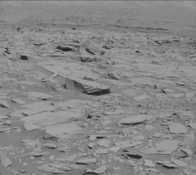 Sol 2695: Mast Camera (Mastcam)