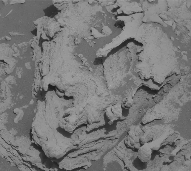 Sol 2695: Mast Camera (Mastcam)