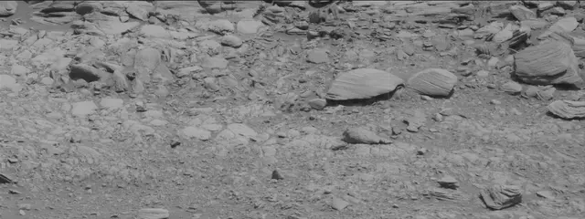 Sol 2696: Mast Camera (Mastcam)