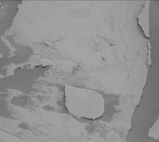 Sol 2696: Mast Camera (Mastcam)