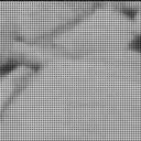Sol 2696: Mast Camera (Mastcam)