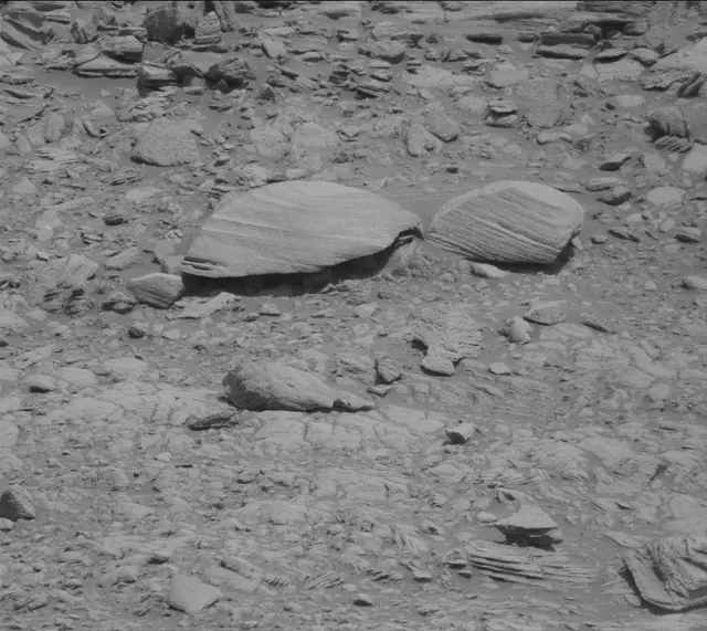 Sol 2696: Mast Camera (Mastcam)