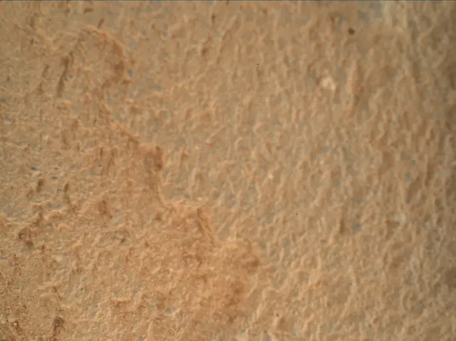 Sol 2696: Mars Hand Lens Imager (MAHLI)