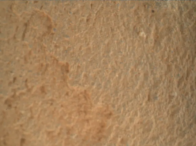 Sol 2696: Mars Hand Lens Imager (MAHLI)