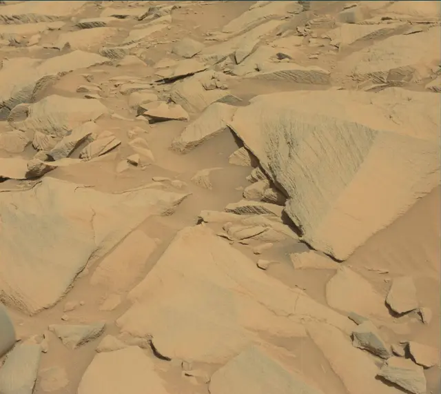 Sol 2698: Mast Camera (Mastcam)