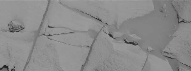 Sol 2699: Mast Camera (Mastcam)