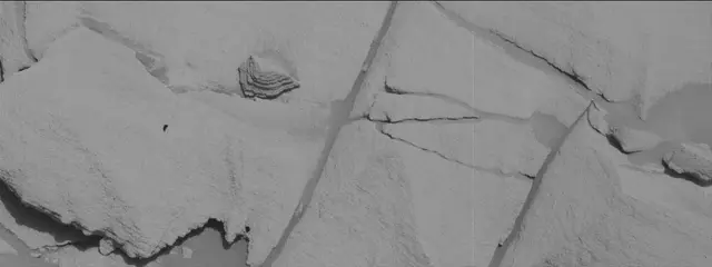 Sol 2699: Mast Camera (Mastcam)